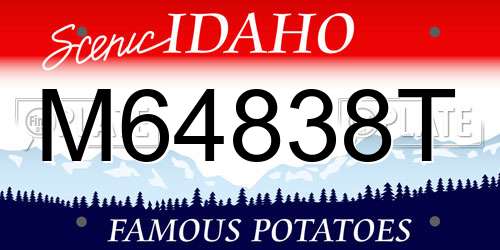 M64838T Idaho License Plate