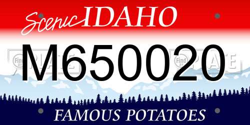 M650020 Idaho License Plate