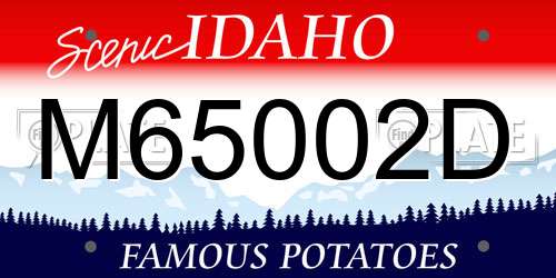 M65002D Idaho License Plate