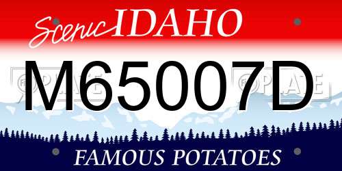 M65007D Idaho License Plate