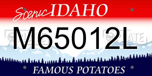 M65012L Idaho License Plate