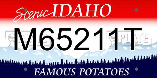 M65211T Idaho License Plate