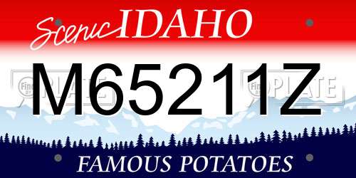 M65211Z Idaho License Plate