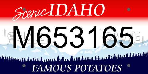 M653165 Idaho License Plate