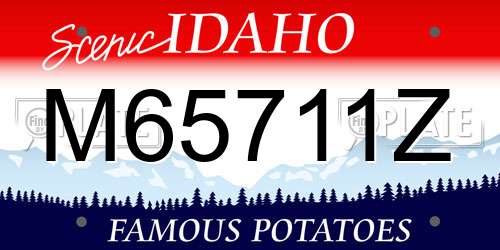M65711Z Idaho License Plate