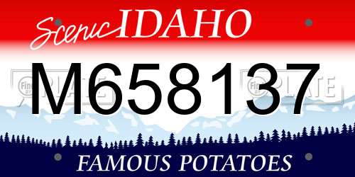 M658137 Idaho License Plate