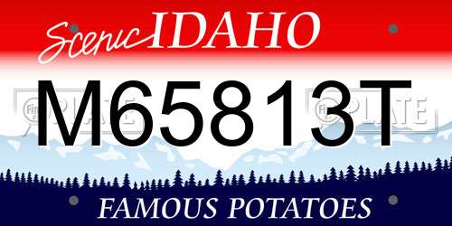 M65813T Idaho License Plate