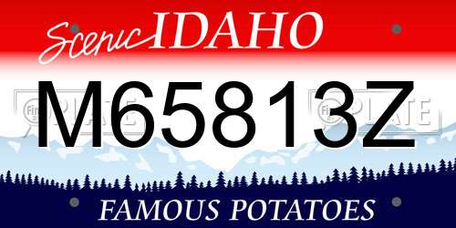 M65813Z Idaho License Plate