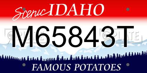 M65843T Idaho License Plate