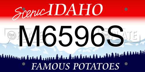 M6596S Idaho License Plate