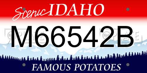 M66542B Idaho License Plate