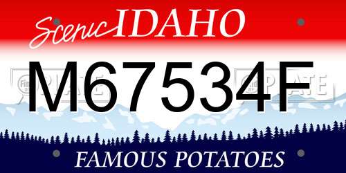 M67534F Idaho License Plate