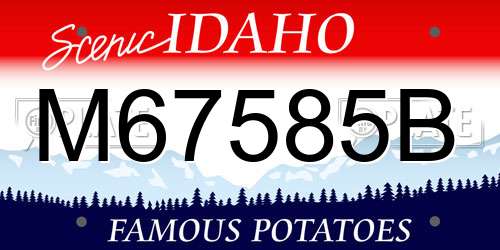M67585B Idaho License Plate