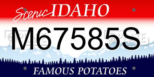 M67585S Idaho License Plate
