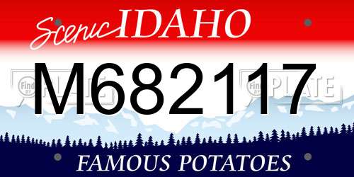 M682117 Idaho License Plate