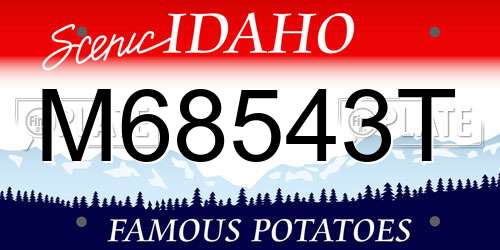 M68543T Idaho License Plate