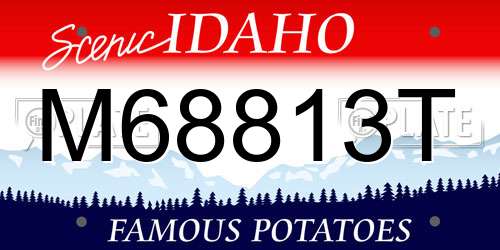 M68813T Idaho License Plate