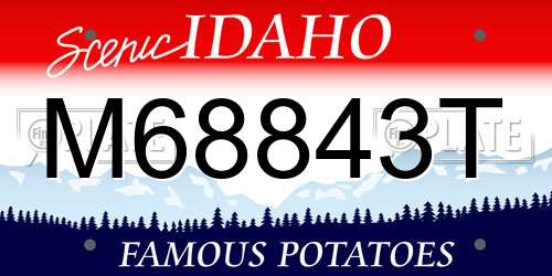 M68843T Idaho License Plate