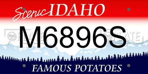 M6896S Idaho License Plate