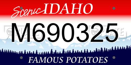 M690325 Idaho License Plate