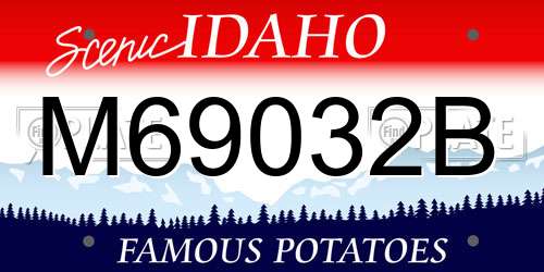M69032B Idaho License Plate
