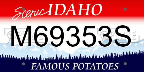 M69353S Idaho License Plate
