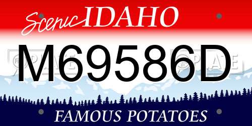 M69586D Idaho License Plate