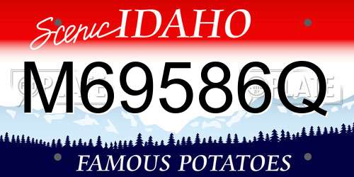 M69586Q Idaho License Plate