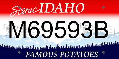 M69593B Idaho License Plate