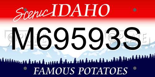 M69593S Idaho License Plate