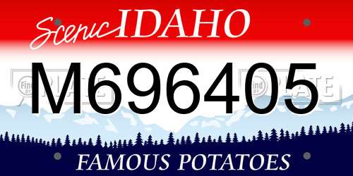 M696405 Idaho License Plate