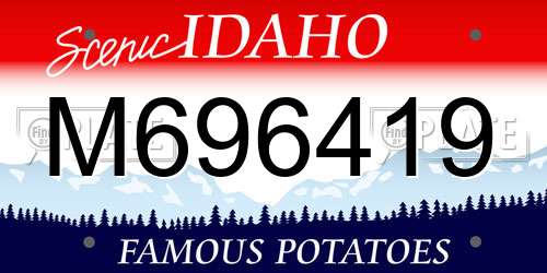 M696419 Idaho License Plate