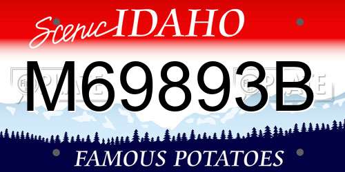 M69893B Idaho License Plate