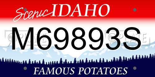 M69893S Idaho License Plate