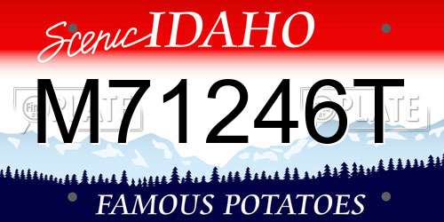 M71246T Idaho License Plate