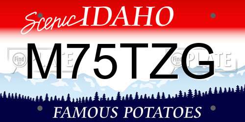 M75TZG Idaho License Plate