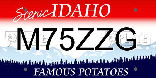 M75ZZG Idaho License Plate