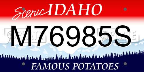 M76985S Idaho License Plate