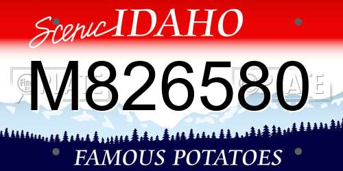 M826580 Idaho License Plate