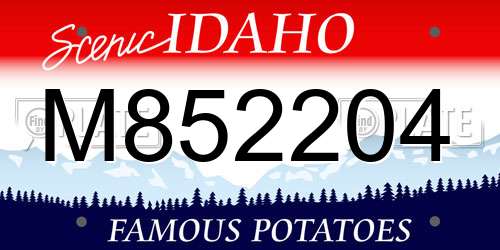 M852204 Idaho License Plate