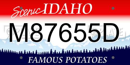 M87655D Idaho License Plate