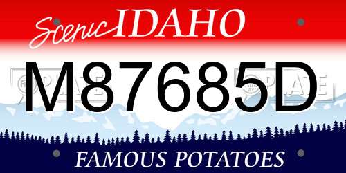 M87685D Idaho License Plate
