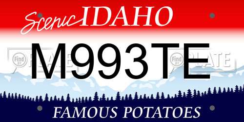 M993TE Idaho License Plate