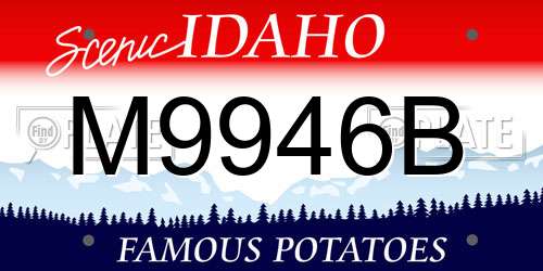 M9946B Idaho License Plate