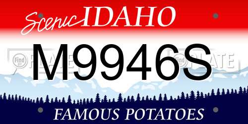 M9946S Idaho License Plate