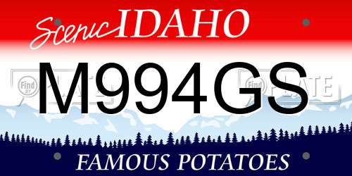 M994GS Idaho License Plate