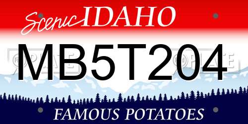 MB5T204 Idaho License Plate