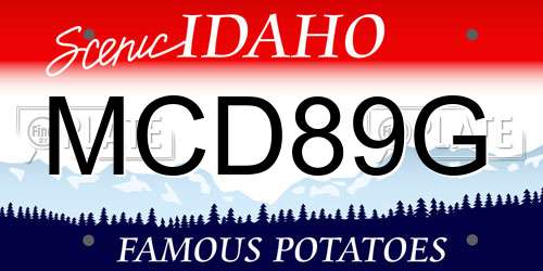 MCD89G Idaho License Plate