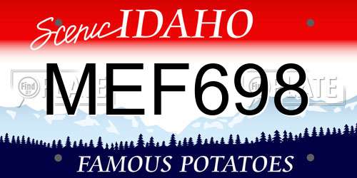 MEF698 Idaho License Plate