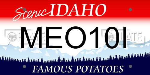 MEO10I Idaho License Plate
